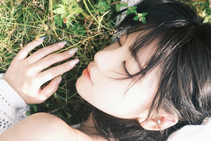 苍鹭与少年 封面
